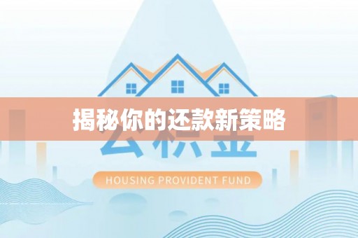 略阳揭秘你的还款新策略