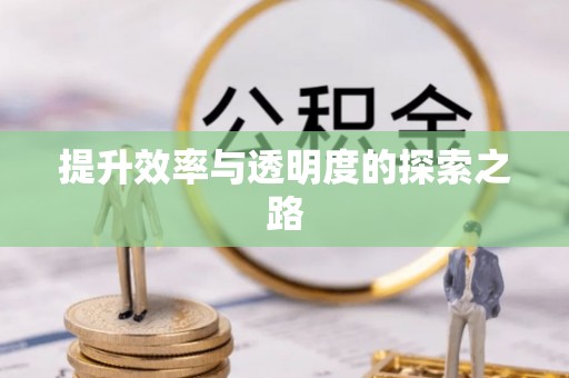 略阳提升效率与透明度的探索之路