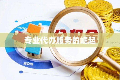 略阳专业代办服务的崛起