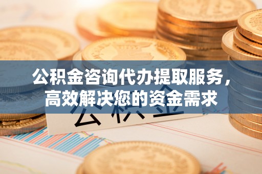 略阳公积金咨询代办提取服务，高效解决您的资金需求