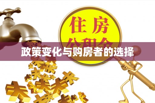 略阳政策变化与购房者的选择