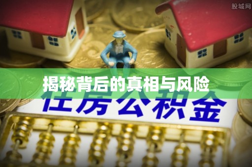略阳揭秘背后的真相与风险