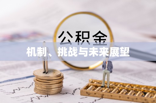 略阳机制、挑战与未来展望