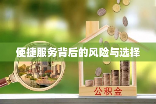 略阳便捷服务背后的风险与选择