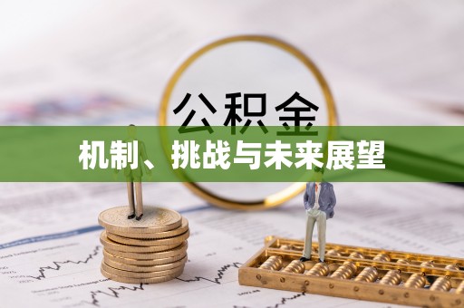 略阳机制、挑战与未来展望